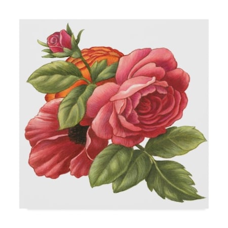 Francien Van Westering 'Central Red Roses' Canvas Art,18x18